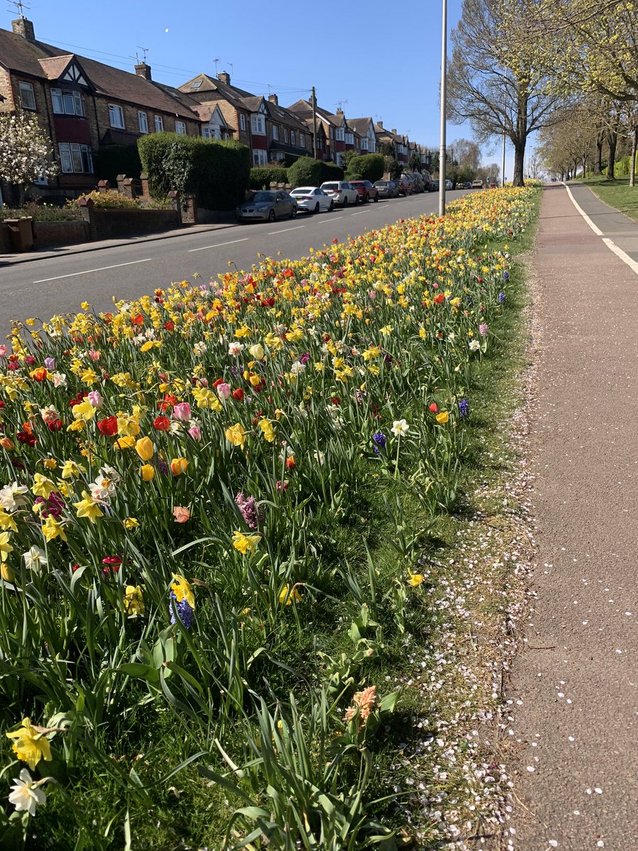 Demelza_Beth's tweet photo. Day 2 of #yourchallengeyourway 3.7 miles walked🎉 Went into the local town and then through a park I haven’t been in since a kid, lovely to see the sun shining over fond childhood memories 🌞 the road into town has wonderful flowers 💐 @DemelzaHospice https://t.co/AGmXf5KiYC