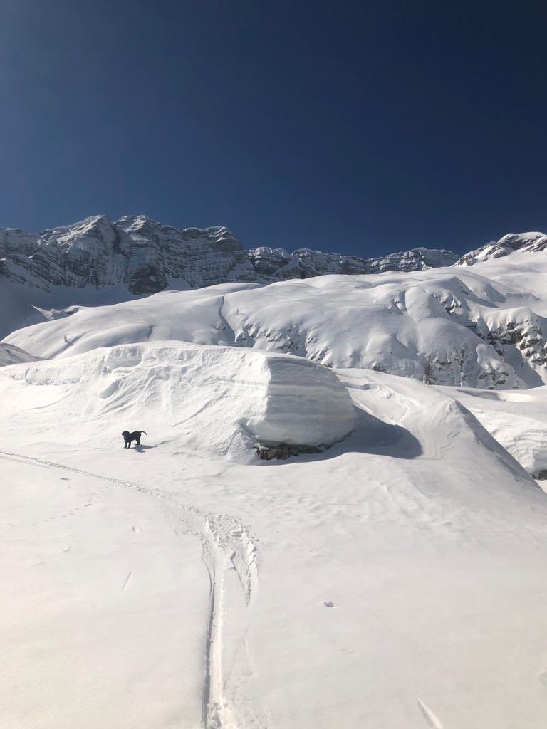 LucioGomiero's tweet photo. Al rifugio #Gilberti a #SellaNevea un manto di neve oltre i 4 metri: quest’anno sarebbe andata  così la #Pasqua in #Montagna #ripartiremo @regioneFVGit @FVGlive @BerteroBruno https://t.co/S16ZU9znyT