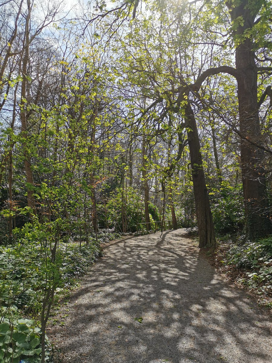 GERRYHALLIDEN's tweet photo. #BeautyWithin2KmsOfHome Endas Park Rathfatnham this morning https://t.co/GRiWfQsX3z