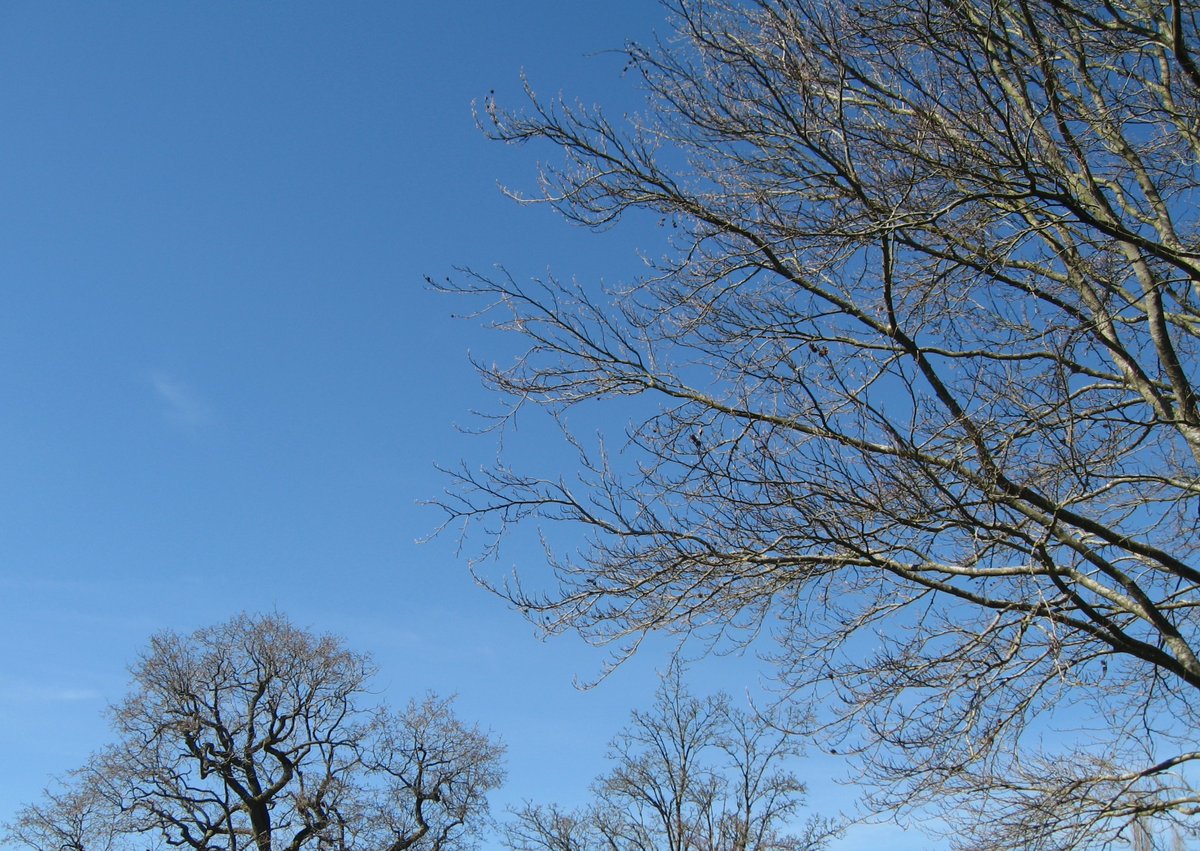 farnhamherald's tweet photo. "It might seem there’s nothing much to see in this photograph," writes #Rowledge architect Mark Westcott, "but that’s just the point! Hasn’t it been absolutely wonderful these last few days to see such beautiful blue skies without a single aeroplane or vapour trail in sight?" https://t.co/kgba1MPrO0