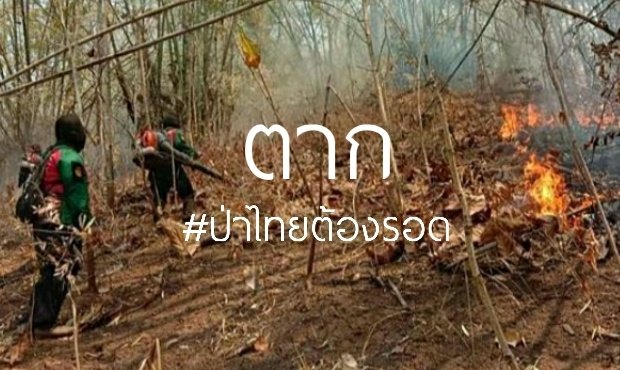xxiinn_7's tweet photo. อห.เธอไม่ใช่เรื่องเล่นๆเเล้วนะเอาความจริงป่ะไม่ว่าทุกคนจะดันเเท็กให้ตายช่วยไปดับไฟกันเองบริจาคเงินเเต่ถ้ารัฐบาลยังไม่ไปช่วยเหลือเค้ามันก็ไม่รอดปะวะเพราะตอนนี้รัฐบาลคือที่พึ่งสุดท้ายแล้วรึป่าวแต่นี้เดือนหนึ่งแล้วที่ไฟไหม้ฉันยังไม่เห็นหัวเธอเลย
#saveเชียงใหม่2 #saveเชียงใหม่3 https://t.co/dKebxgil79