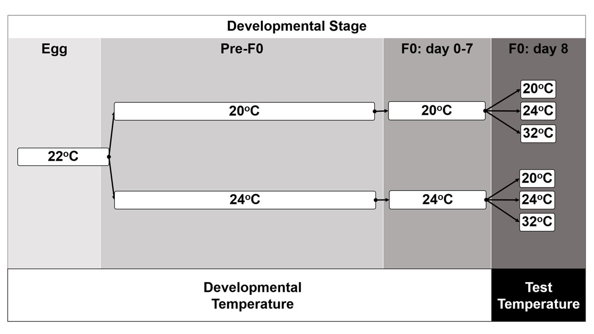 Oikos_Journal's tweet photo. Accepted: Wang et al: Support for the climatic variability hypothesis depends on the type of thermal plasticity: lessons from predation rates
https://t.co/NTE0cdHVuP
@wileyecology @NordicOikos #acclimation #latitudinalgradient #Ischnura #damselfly https://t.co/IaR98vGIF9