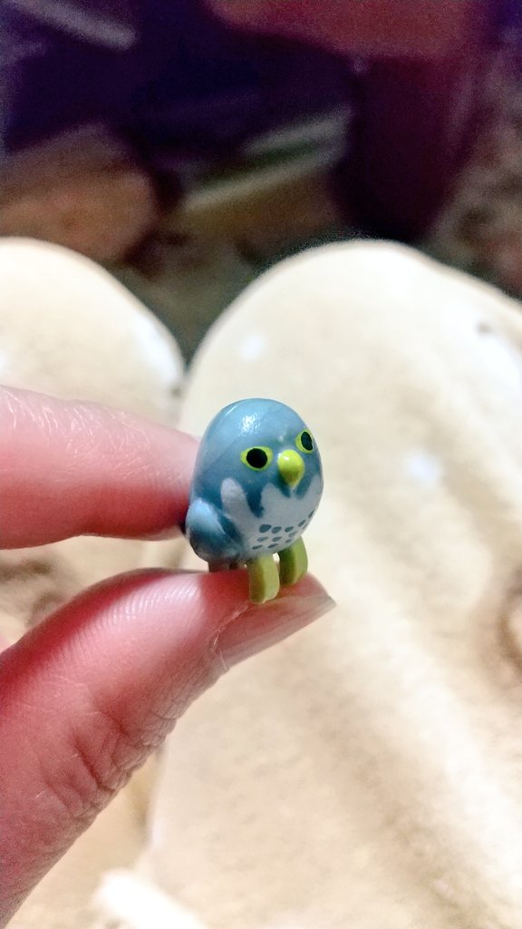 ハヤブサはインコの仲間 意外な間柄 Dnaで判明 日本経済新聞 ナウティスニュース