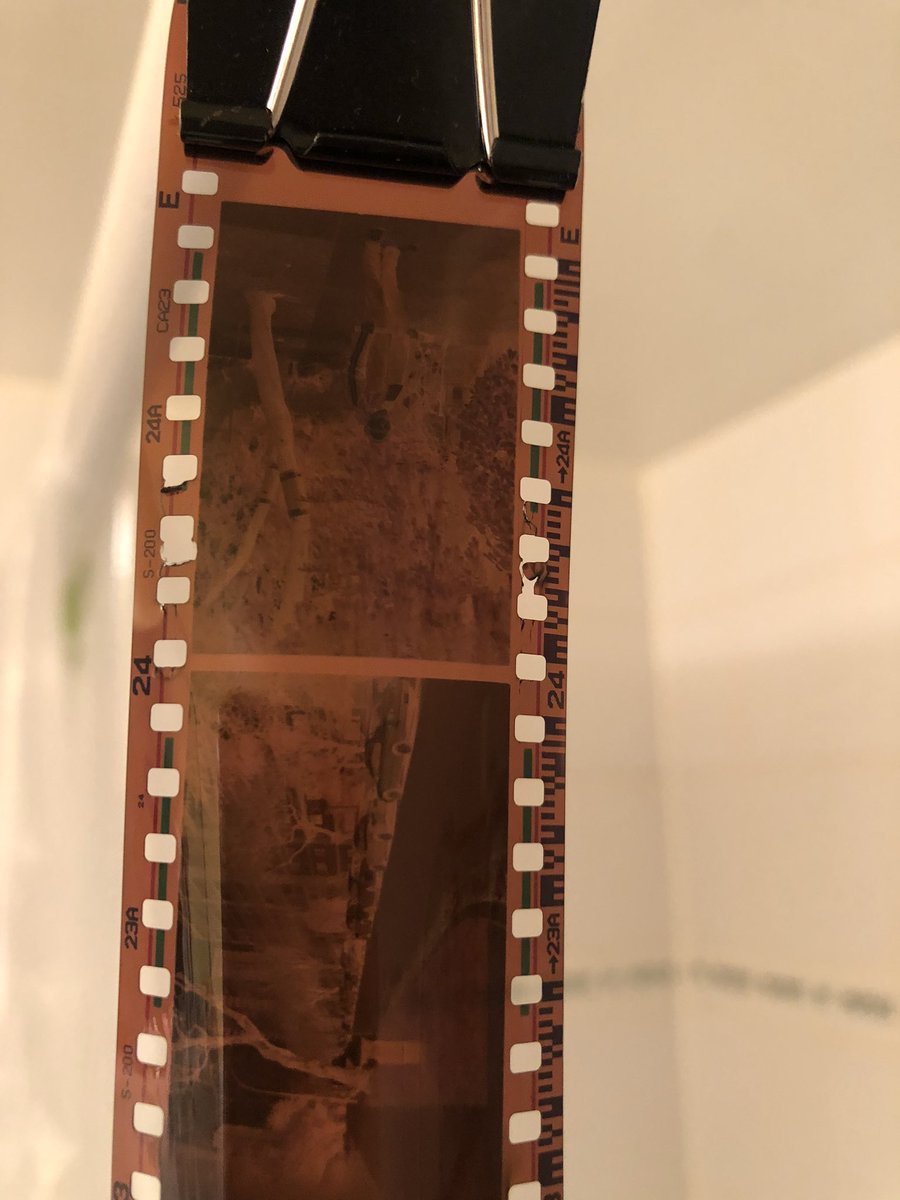 Discoursivity's tweet image. Got my hands dirty. Developed some copious amounts of film.
Stay inside.
And REMEMBER TO WASH YOUR HANDS. ❤️🎞