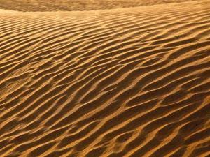 But Turing's equations aren't limited to biology or chemistry. You can see "Turing Patterns" in the shifting sands of sand dunes. 8/n