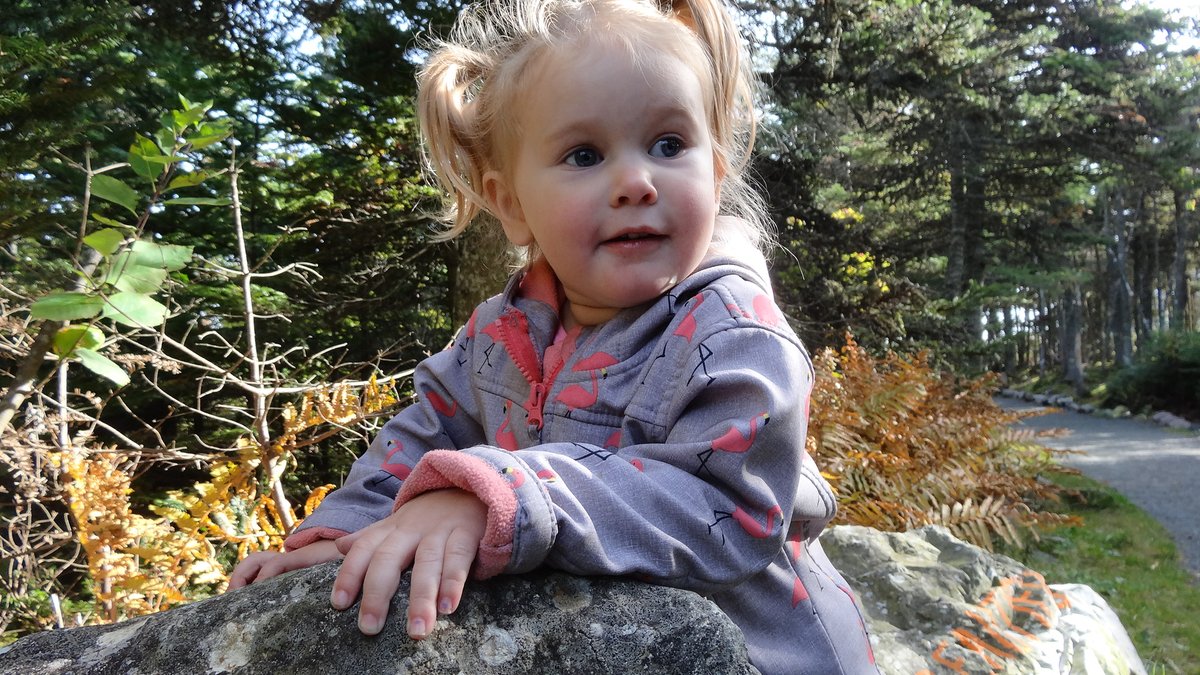 LadyVenomNF's tweet photo. Happy 3rd Birthday to my niece Brynn! 👑🎂🌈❤️
Hoping to have a birthday party when this is all over, thank god she is too young to know whats going on in this world ❤️#myreasontostayhome #HAPPYBIRTHDAY #1aunt https://t.co/K6AiBZP1Ed