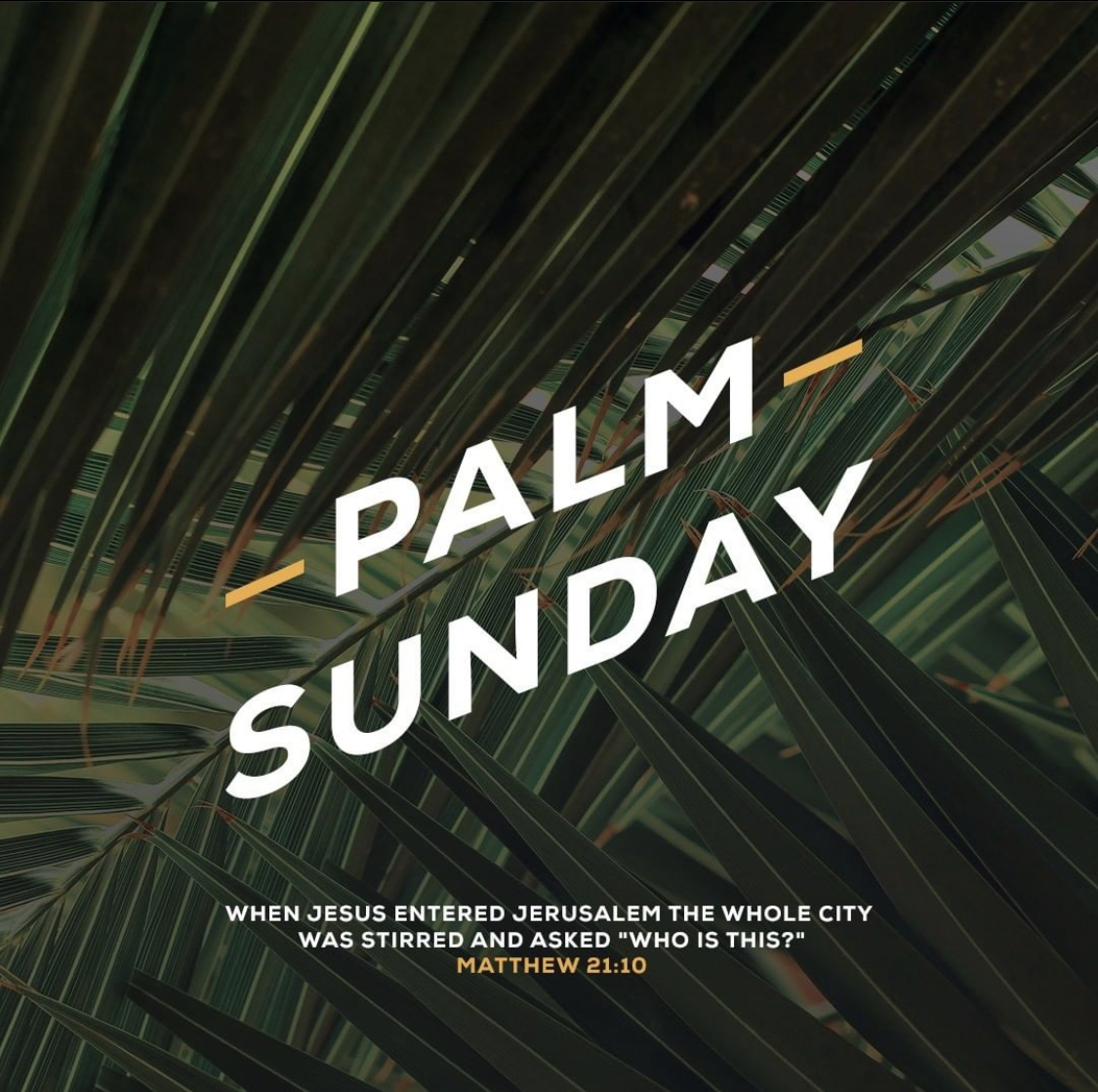 cpcstumin's tweet photo. Join us online today! https://t.co/QxDZN1kh7Y