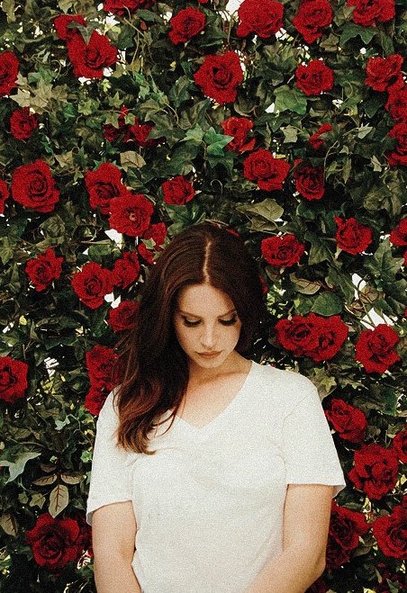 harry styles as lana del rey - a thread