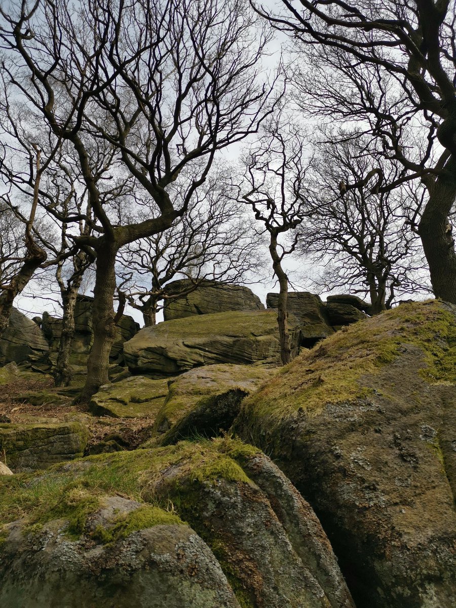 hiddenbradford's tweet photo. A quiet walk round the bottom of Shipley Glen
#hiddenbd https://t.co/kPwP915plD