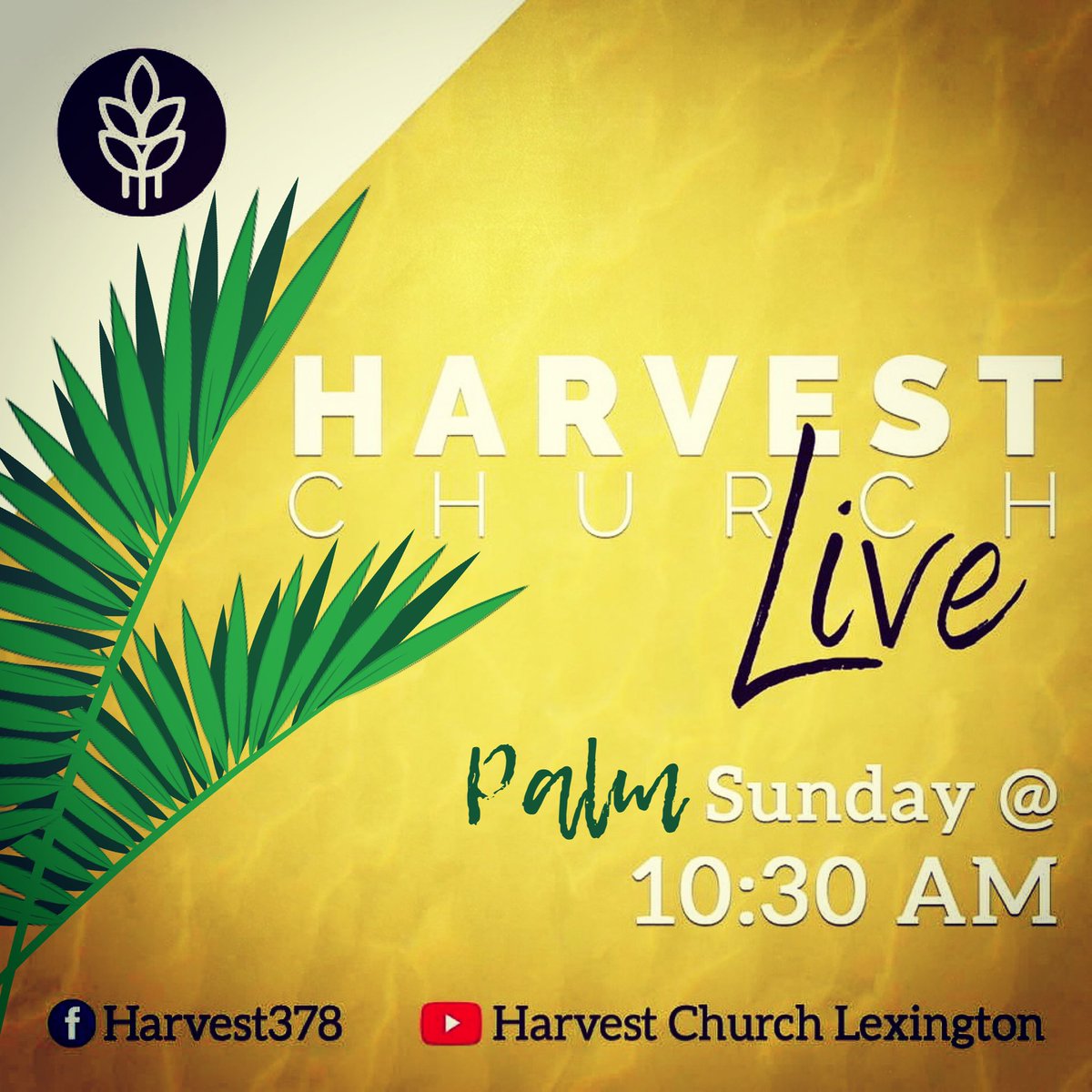 RJR_Harvest's tweet photo. We have an awesome service planned for this morning! Join us for #HarvestAtHome! #ChurchOnYourCouch #WithBreakfast #AndYourDog https://t.co/ItlKpFQ0Da