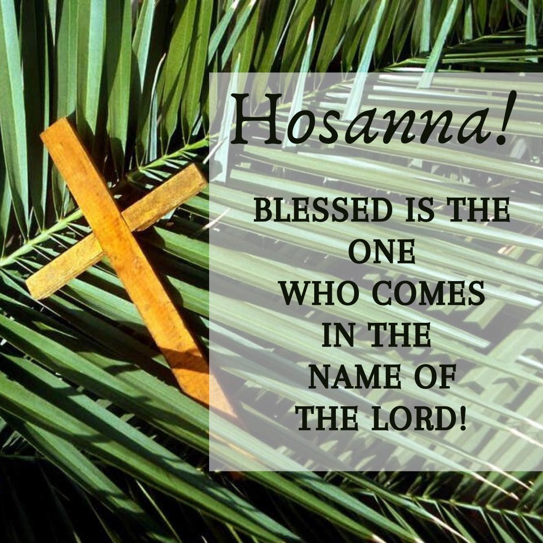 Paul_VI's tweet photo. Let us celebrate Palm Sunday with faith, hope and prayer.  #pvihs #pvistrong #remoteeagles #pviprays 🦅 https://t.co/1M5Lksr7Sm
