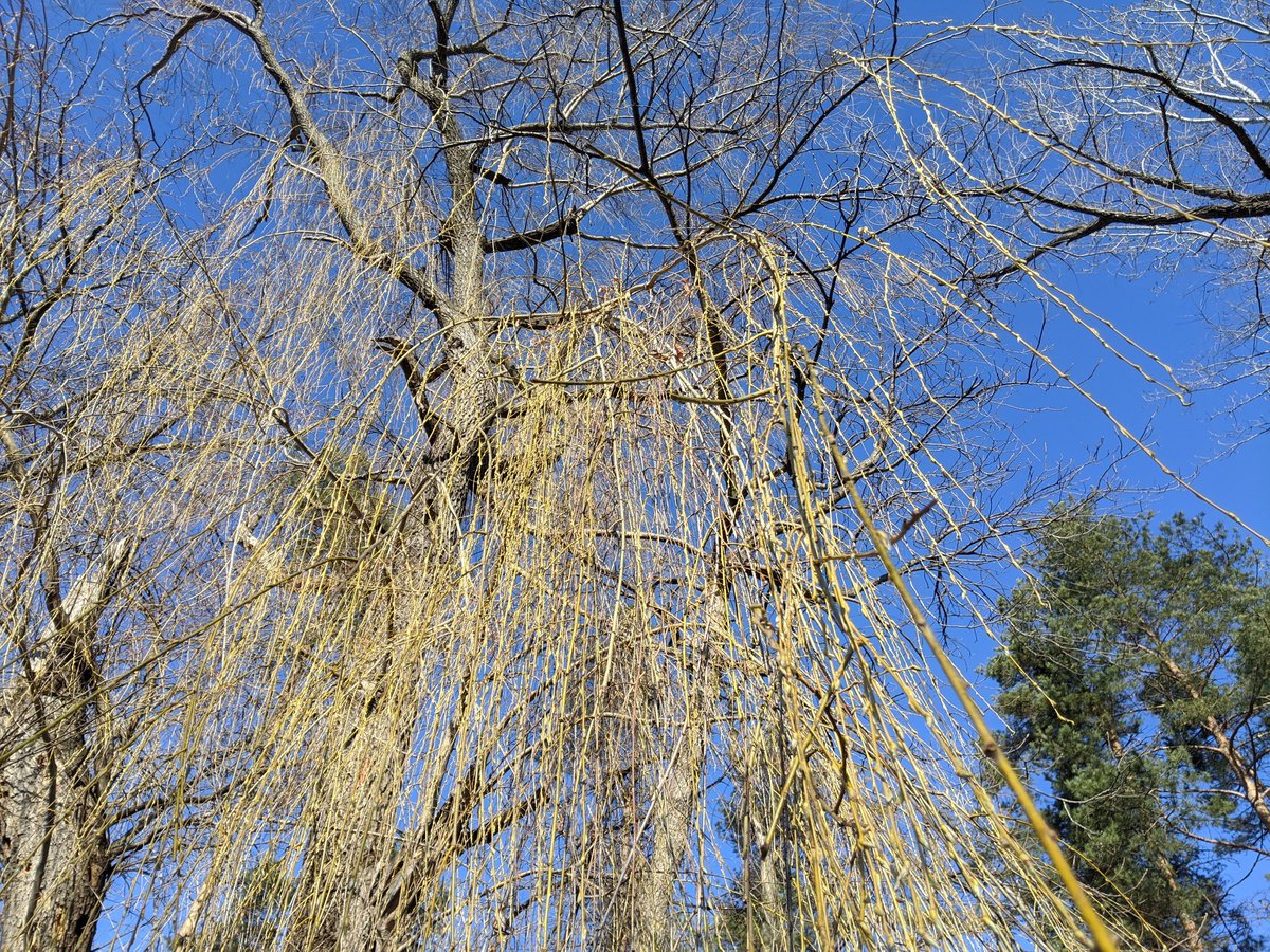 Patrick Donohue tweet media