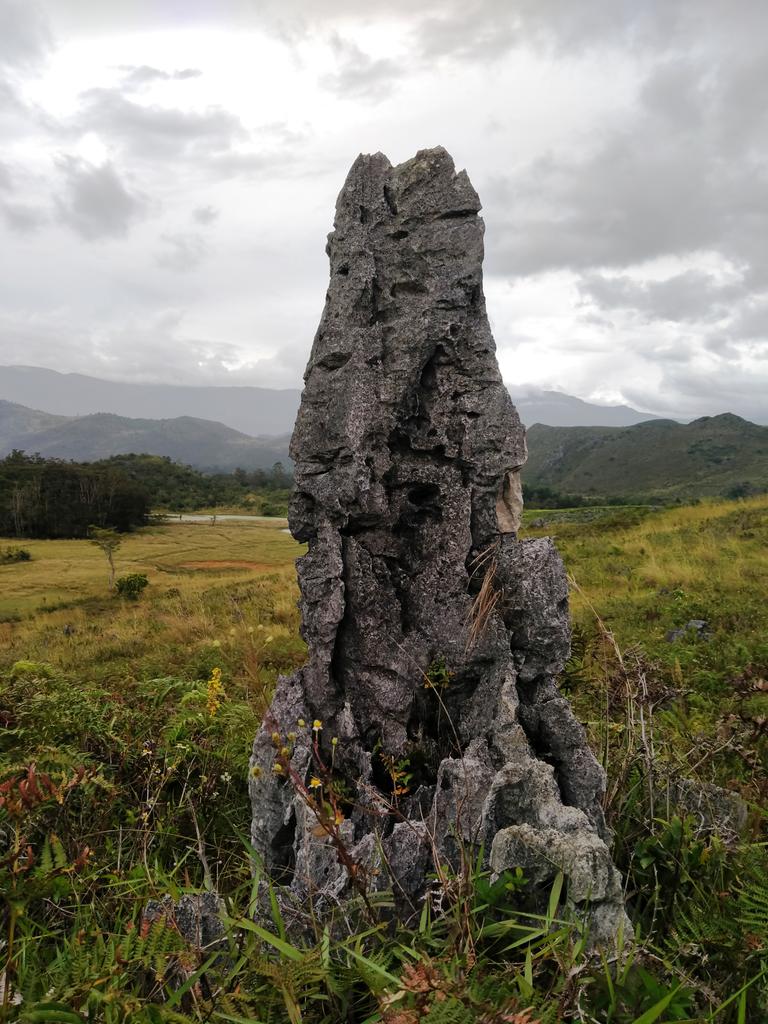 ThoniWenda2's tweet photo. Baliem Balley
Wamena Papua
Indonesia https://t.co/atrBzdEgUw