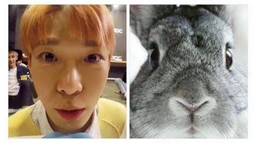 キラリ✨คุนนู๋น้องลูกเน้กโกะจัง🐈👑✨ tweet media