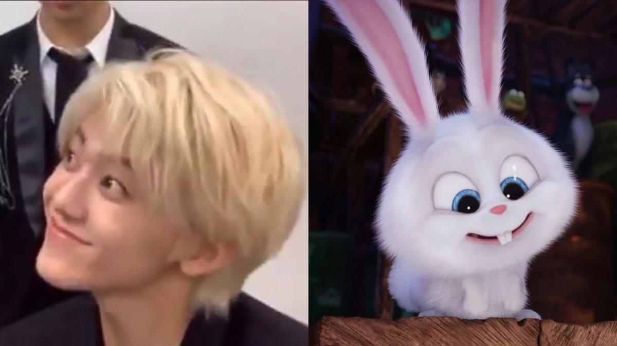 キラリ✨คุนนู๋น้องลูกเน้กโกะจัง🐈👑✨ tweet media