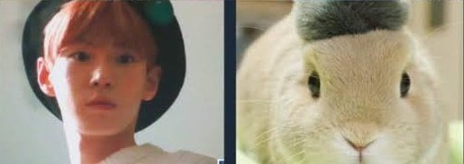 キラリ✨คุนนู๋น้องลูกเน้กโกะจัง🐈👑✨ tweet media
