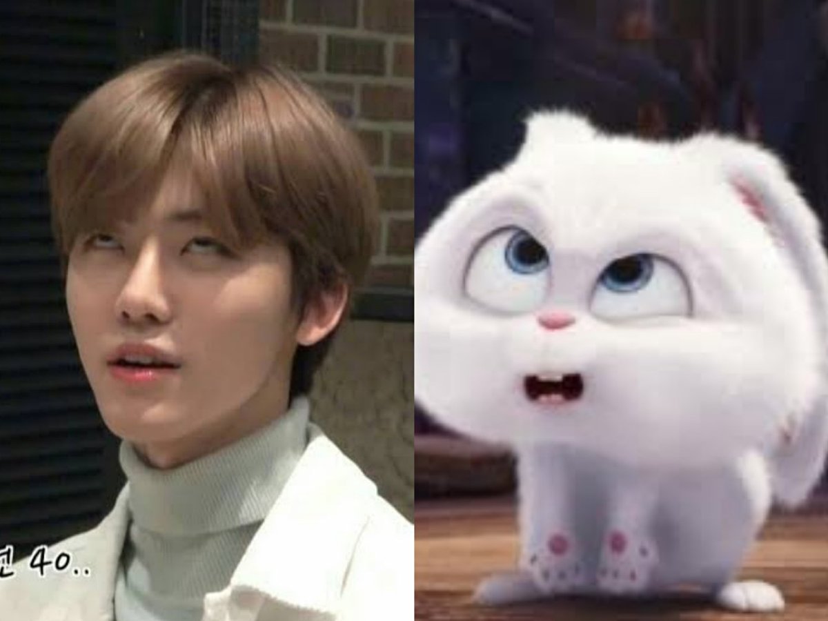 キラリ✨คุนนู๋น้องลูกเน้กโกะจัง🐈👑✨ tweet media