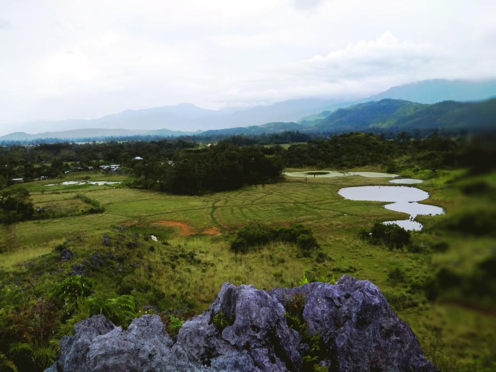ThoniWenda2's tweet photo. Baliem Balley
Wamena Papua
Indonesia https://t.co/atrBzdEgUw