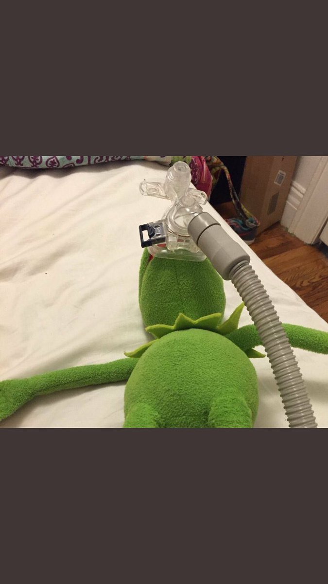 automatic blue tweet media