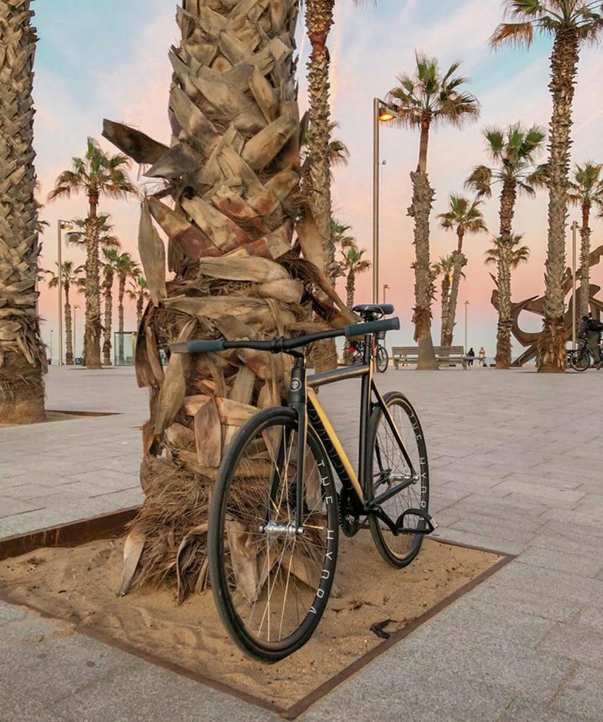 BiciBarcelona's tweet photo. Cuando todo acabe, volveremos a pedalear con más fuerza. 🚴‍♂️
¡Ánimo a todos!

Quan tot acabi, tornarem a pedalejar amb més força. 🚲
Ànims a tots!

Gracias @guillem.o 🚲😍
#bicibcn #fixiebcn #fixieart #fixiebikes #fixie https://t.co/W715Nuh95n