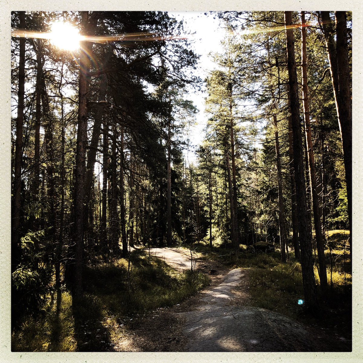 wallmata's tweet photo. Kuvahaaste 7/7. Ei sanoja, ei ihmisiä. Haastajana @NtiViitanen Haastan @petterigunther #kuvahaaste https://t.co/jhZQOUHQjh