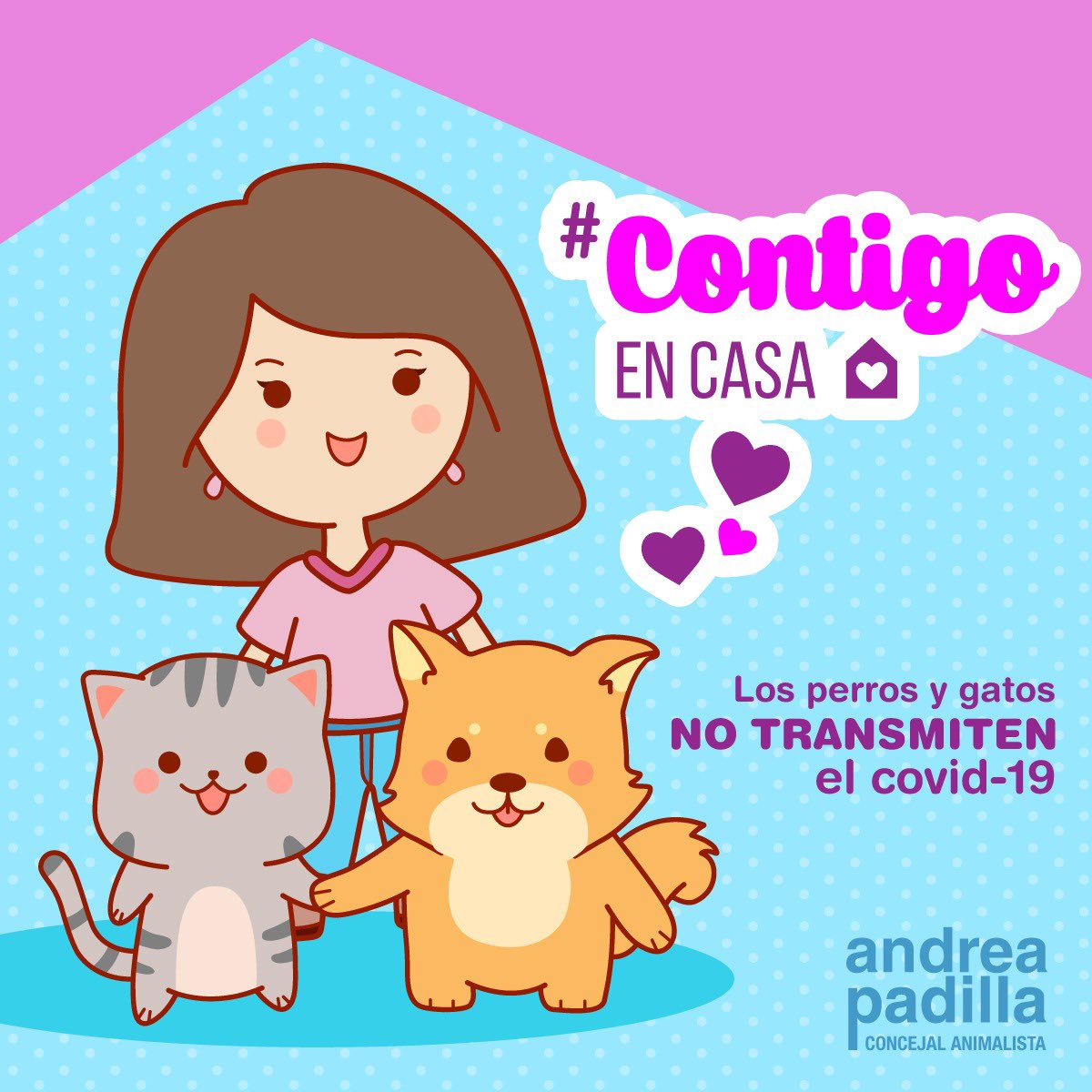 andreanimalidad's tweet photo. Los gatos y perros con quienes convivimos son familia, seres amados, compañeros de todos los días. Con la campaña #ContigoEnCasa queremos ayudar a detener su abandono promovido por información falsa e irresponsable ¡Te invitamos a publicar una foto con tu gato o perro en casa! https://t.co/YVE7zi4jpr