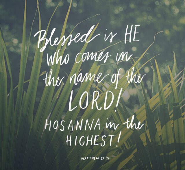 NOHSfca's tweet photo. Happy Palm Sunday! https://t.co/nEbNWR2732