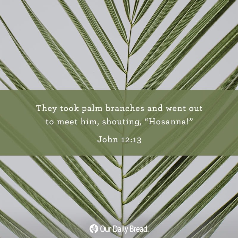 Quirkulele's tweet photo. "When Jesus rode into Jerusalem 
and was greeted 
with applause 
and with palms. 
People thought 
he had come to overthrow the Romans, 
but ... no ... 
he had come to change THEM ... and that led to things turning bad."
~Garrison Keillor
Jesus knew💕💔❤️ https://t.co/ixrzn9YBhO