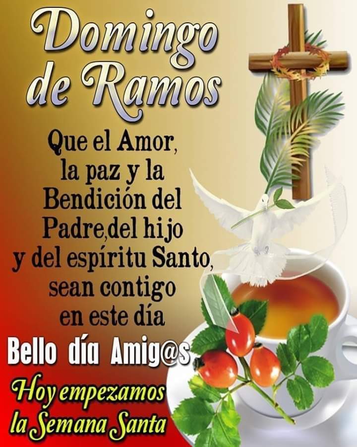 GpeLC1108's tweet photo. Buenos días amigas y amigos!!
Muy feliz Domingo de Ramos, que el amor, la paz y la bendición del Padre, del hijo y del espíritu Santo sea contigo en este día.
Que tengan un maravilloso día.
#FelizDomingodeRamos
#BuenosDiasATodos 
#FelizDomingo https://t.co/IANe7tvyhb