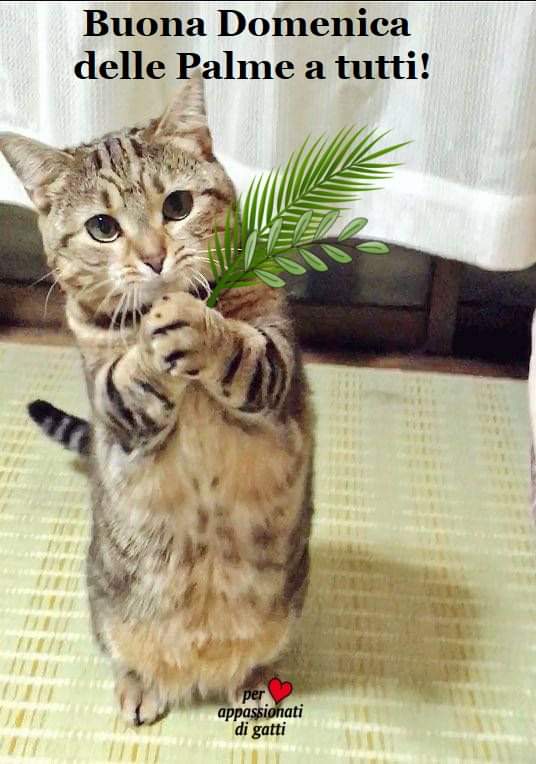 Cinzia Leone (@_cinzialeone) on Twitter photo 