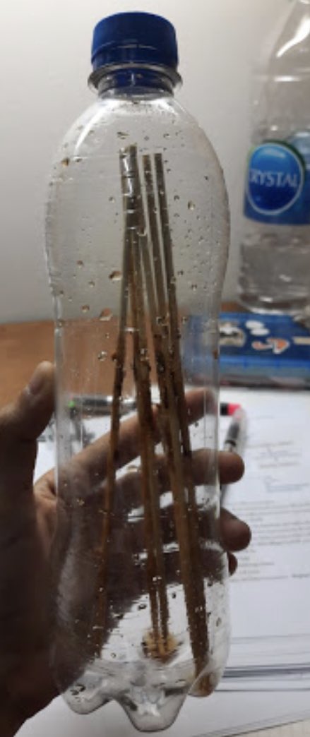 เเมสแล้วฝากครับ ภาพนี้เอามาจากในเน็ต ขอให้ช่วยกันทำแบบนี้ก่อนทิ้ง และก็เเมสใช้เเล้วกรุณาใส่ถุงพลาสติกมัดให้สนิทก่อนทิ้ง ครับนะครับ