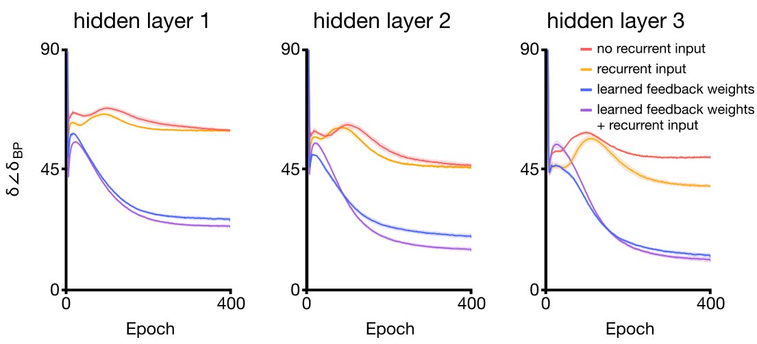 20/ With these two additional plasticity mechanisms, BDSP provides a decent estimator of the gradient. For example, here you can see the angle between BDSP updates and the true gradient across a hierarchy while training on MNIST: