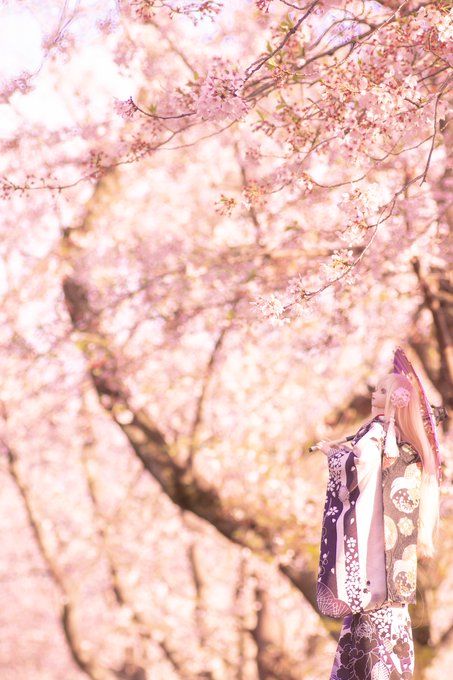 夜桜 高画質 のtwitterイラスト検索結果 古い順 夜桜 高画質 のtwitterイラスト検索結果 古い順