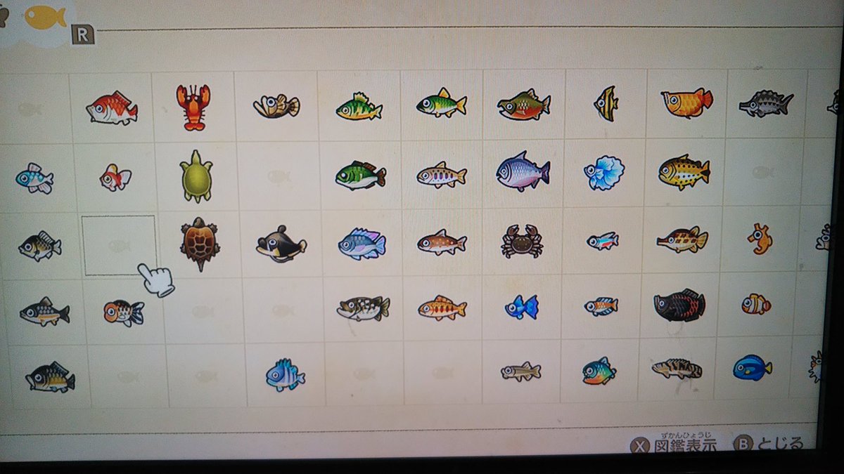 サム 南半球は 魚だけは種類が豊富に釣れたから結構図鑑は埋まったよ でも 虫は少ないね