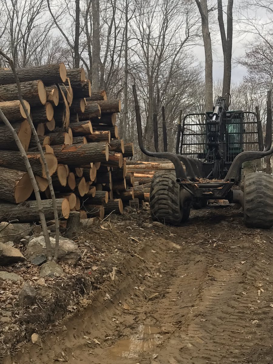 FSpartamtn's tweet photo. Deforestation of a healthy intact HCV Forest in the Highlands Region of #NJ where  130+ RTE &amp; SC species live.  Why is this continuing? when the Science clearly  states our forests need protections!  It’s time to end this Sham @NJDEPMcCabe @FirstLadyNJ #GovMurphy @ClimateReality https://t.co/IKiVhJgNnN