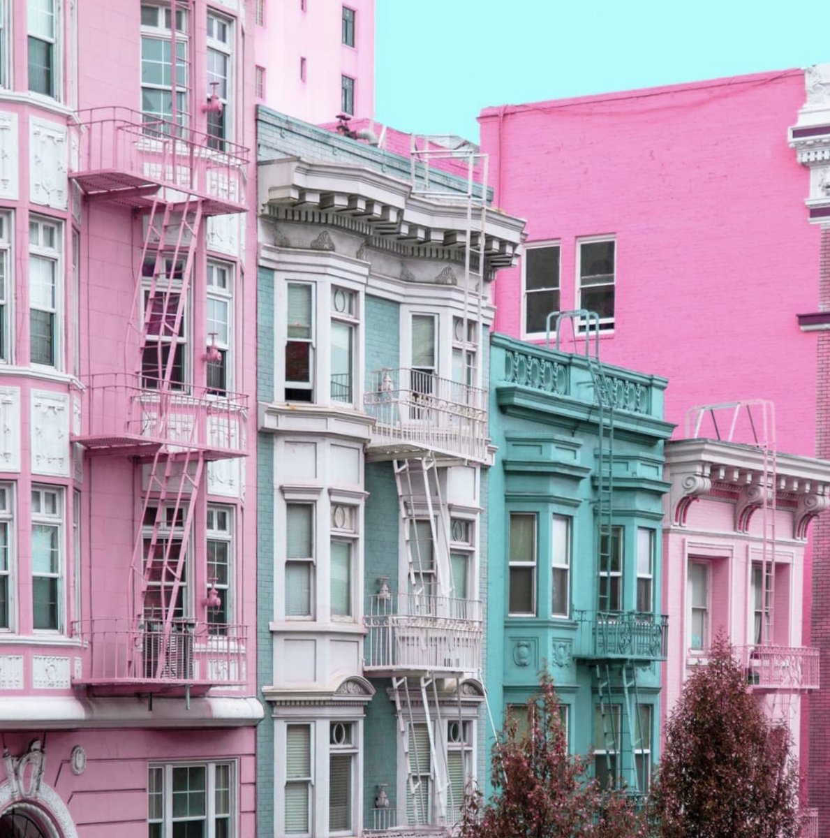 Hotel Zetta tweet media