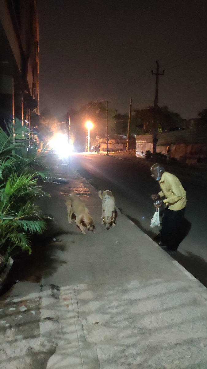 Jvishal7's tweet photo. Saw this man feeding two stray dogs today at Ramaiah nagar #bengaluru #lockdowneffect https://t.co/O32dz2uAI9