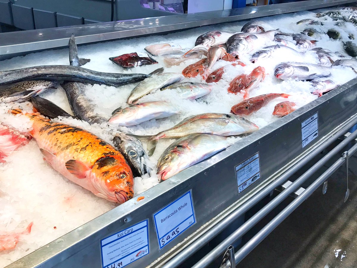 魚市場 Twitter Search