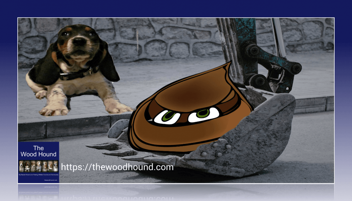 DenaBriley's tweet photo. APRIL 1ST - 7TH INTERNATIONAL POOPER SCOOPER WEEK This is week is devoted to the education and awareness to #ScoopThePoop and make our world a better place to #live. 💩 
=>   https://t.co/uriz5XZu7L https://t.co/3fBYqajzUs