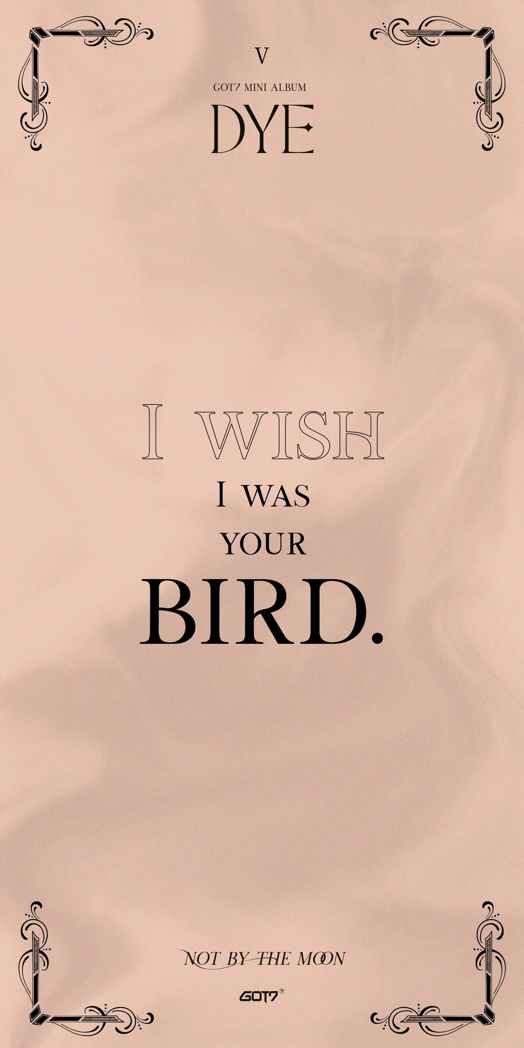 贈答品 Got7 Youngjae Something That Is Bittersweet First Edition Photobook ガットセブン ヨンジェ写真集 ほぼ美品 Mbjuturu Org