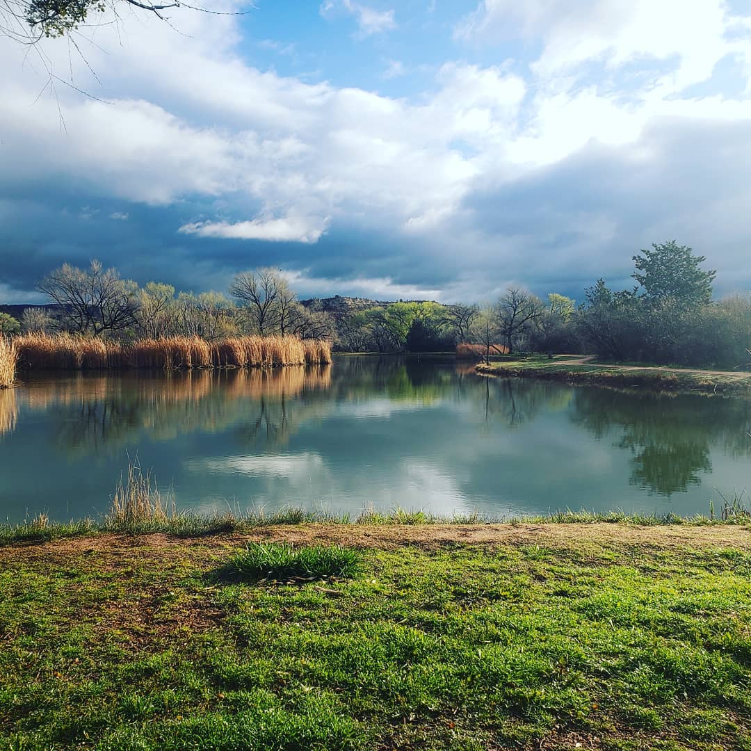 STQRY's tweet image. Dead Horse Ranch State Park is home to vivid colors, rolling hills, &amp;amp; shady trees. Instead of watching that next Netflix episode, take a digital tour of this beautiful park.🌳🐎
📷@deadhorseranchstatepark

Take a Digital Tour Today at azstateparks.oncell.com
#OnCell #digitalmedia