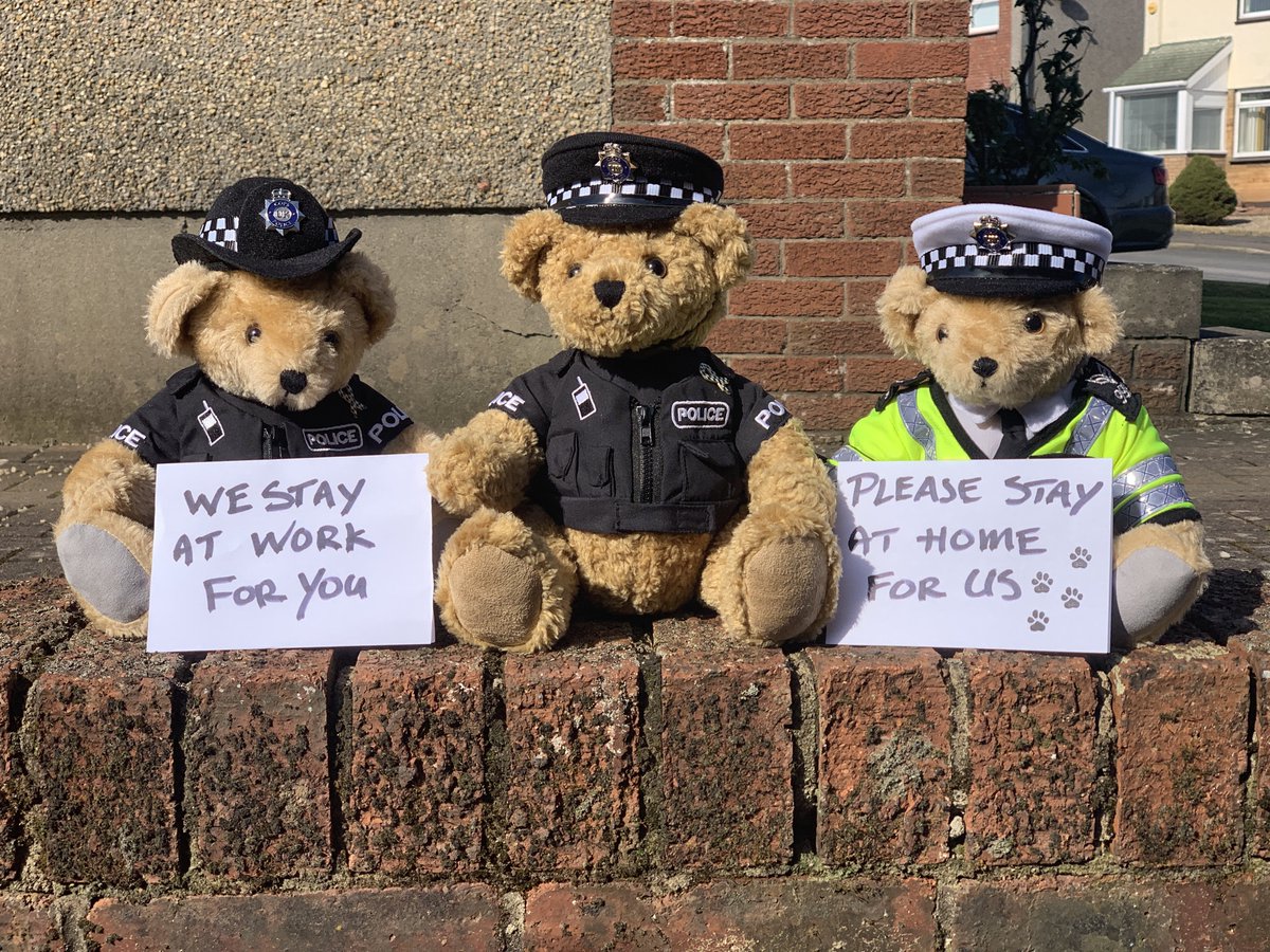 PCEddieWalker's tweet photo. If you go down to the woods today, you’re sure of a big surprise… 

A £60 fine for starters! 

Seriously though…

#StayAtHome #SaveLives 

Save the Teddy bears picnic for later. 🧸🌳🐾🌲 https://t.co/9wJxZR4zfs