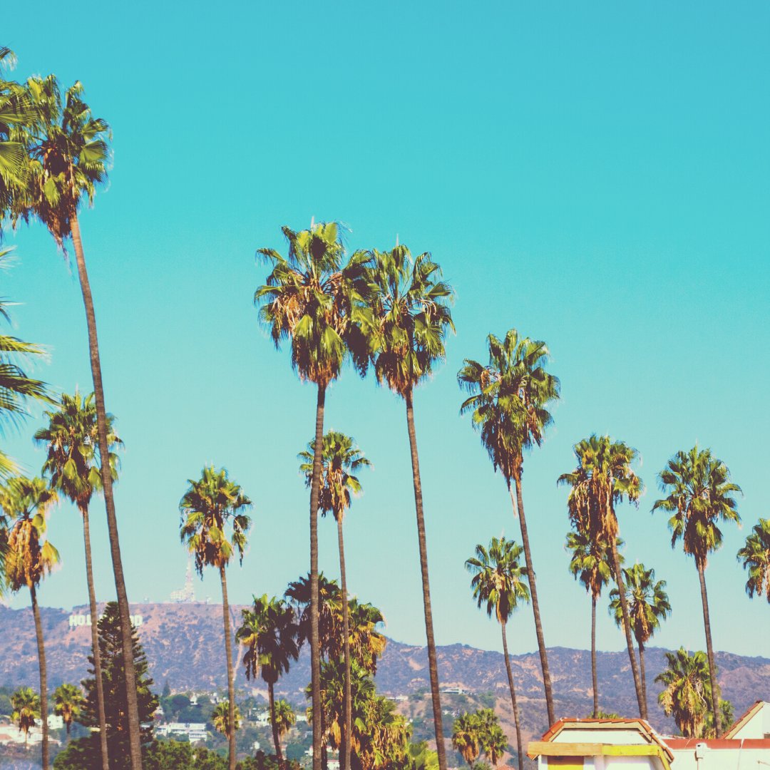 City of LA Department of Recreation and Parks tweet media