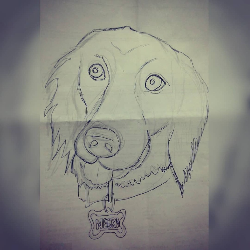 cenicienka's tweet photo. Dibujando a mi Negrito Encantado
#yodibujoencasa #dibujos #draw #caricaturas #caricature #karicaturas #karicaturasencantadas #elnegritoencantado #miperrito #mimascota #mydog #instadog #pet #perrosdeinstagram #mihijodecuatropatas #mibebepeludo #flatcoatedretriever #flatcoate… https://t.co/S9O1CUb3h9