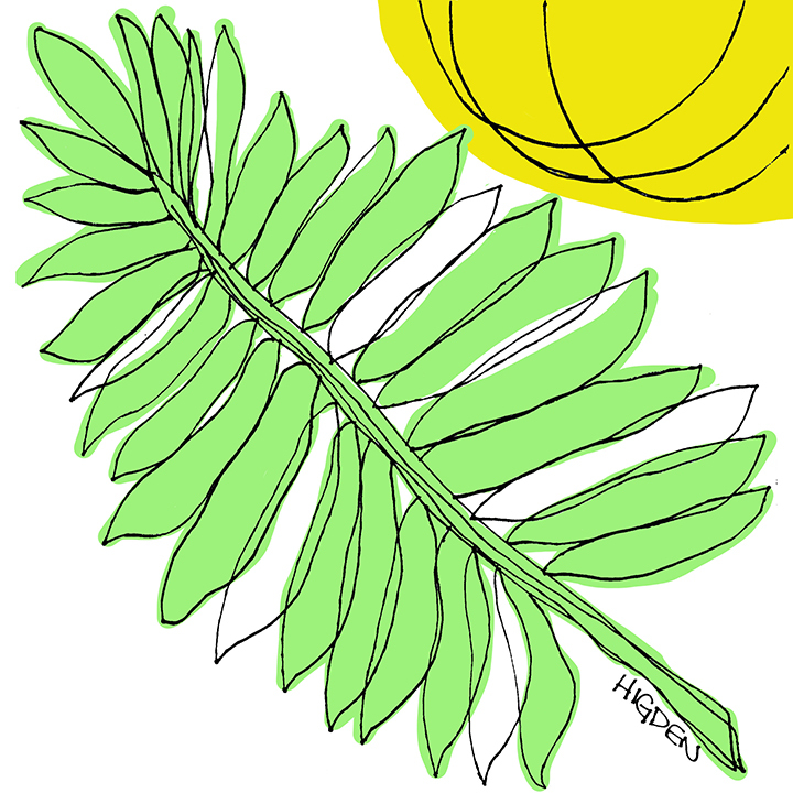 mark higden tweet media