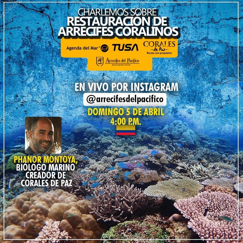 #Felizdomingo #Seaflower! 
Conéctate esta tarde a las 4pm por #Instagram y participa de la charla del PhD <a href="/phmontoya/">Phanor Montoya-Maya</a> sobre Restauración de Arrecifes Coralinos. En vivo desde el IG de Arrecifes del Pacífico 
#YoSoySeaflower #QuedateEnCasa