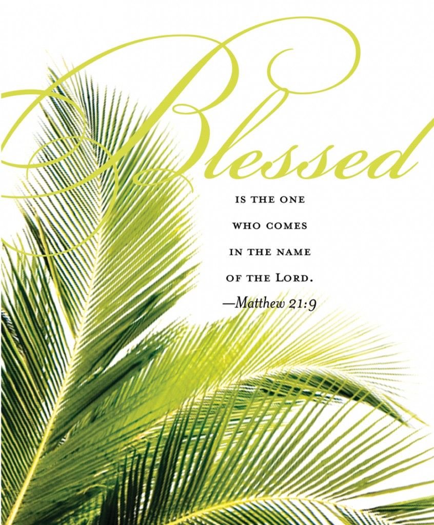 for_gilmore's tweet photo. May you all stay safe and find peace and comfort on this Palm Sunday. https://t.co/mou6ARS3P7
