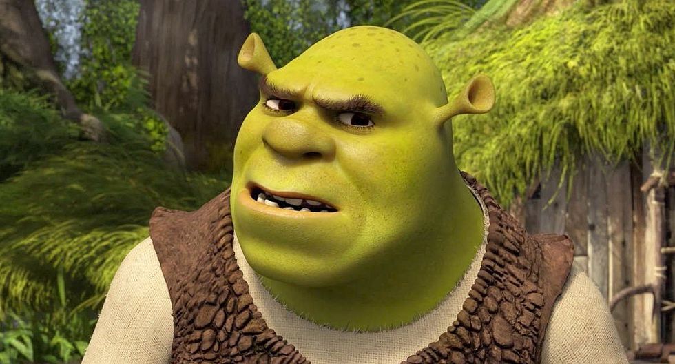 cara do shrek meme