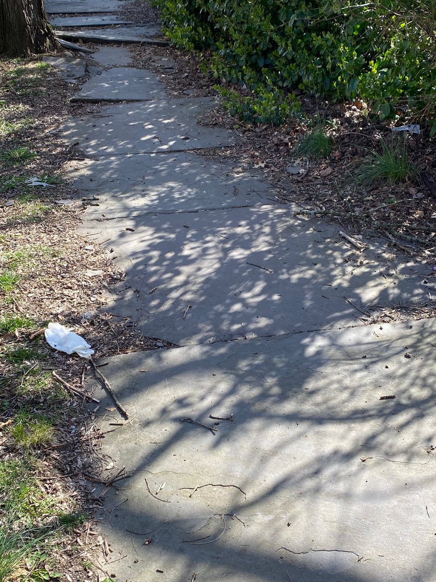 peekskill_walks's tweet photo. Don't leave used gloves on the ground because you are worried they're contaminated! This has become problem around town - these are from flagpole sitting area (which has trash can) and a residential street. We need to do better to protect ourselves AND others and stop the spread! https://t.co/kSHUaIOqGK