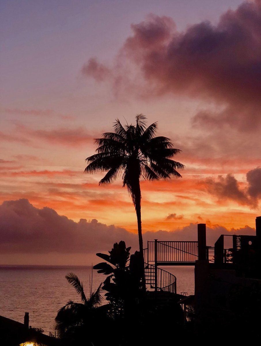feeling_sunset's tweet photo. https://t.co/xDxrnAfLyp